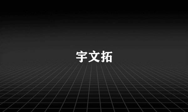 宇文拓