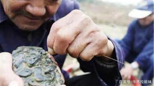 老农翻地挖出一块锈铁,里面藏着怎样一段关于500多箱黄金的往事?