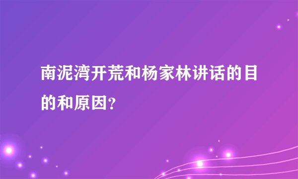 南泥湾开荒和杨家林讲话的目的和原因？