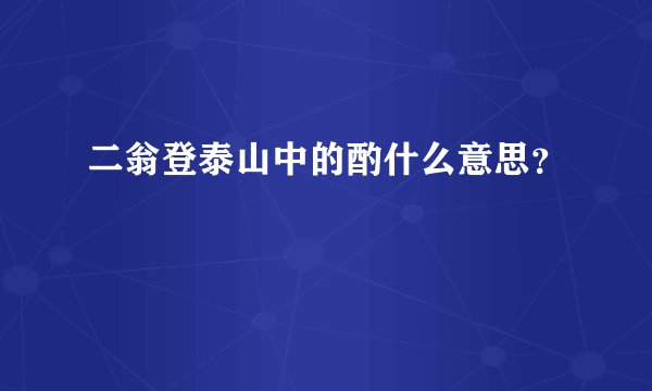 二翁登泰山中的酌什么意思？