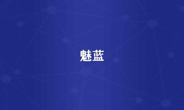 魅蓝