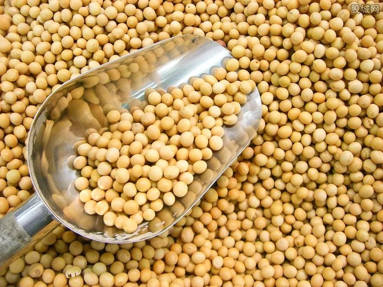 进口大豆一斤多少钱 2020最新价格行情