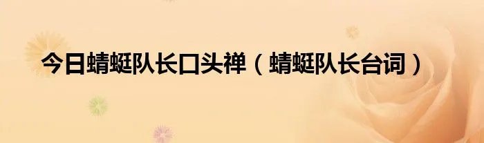 今日蜻蜓队长口头禅（蜻蜓队长台词）