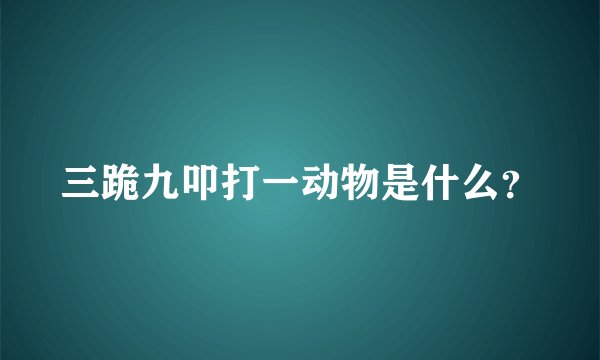 三跪九叩打一动物是什么？