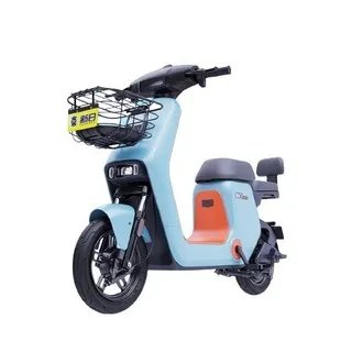 新日电动车电池价格