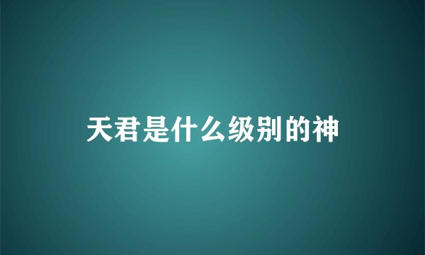 天君是什么级别的神