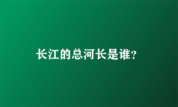 长江的总河长是谁？