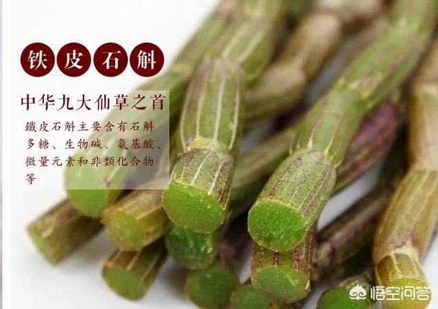 如何让石斛煮水更好喝？