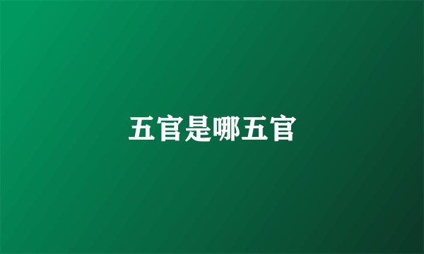 五官是哪五官