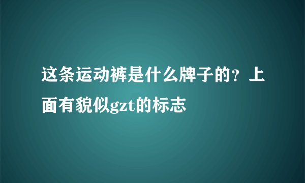 这条运动裤是什么牌子的？上面有貌似gzt的标志