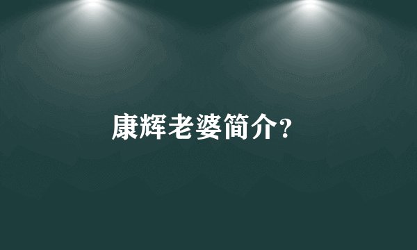 康辉老婆简介?