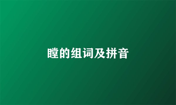 瞠的组词及拼音