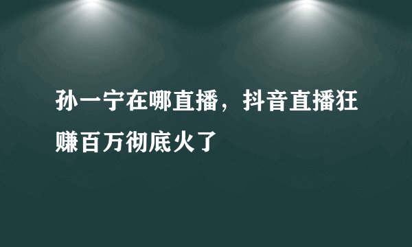 孙一宁在哪直播，抖音直播狂赚百万彻底火了