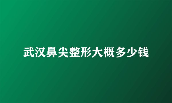 武汉鼻尖整形大概多少钱