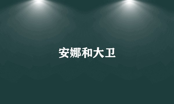 安娜和大卫