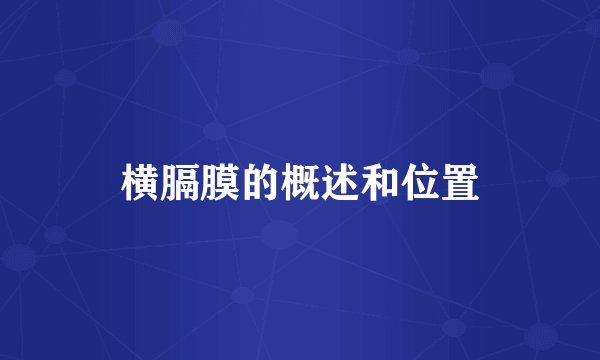 横膈膜的概述和位置