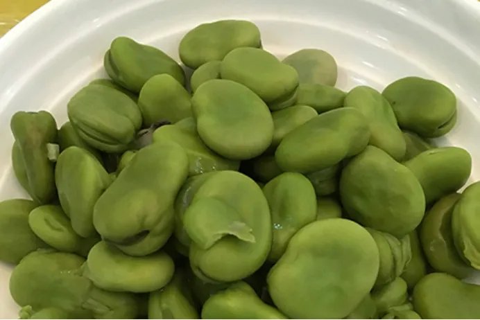 什么是蚕豆病