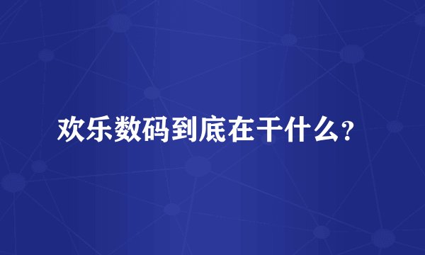 欢乐数码到底在干什么?