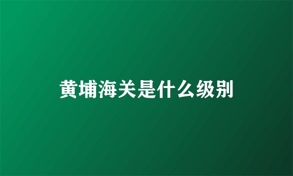 黄埔海关是什么级别
