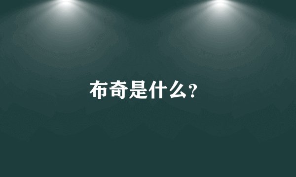 布奇是什么?