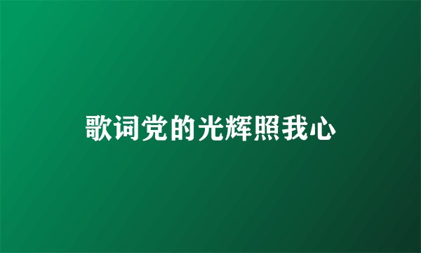 歌词党的光辉照我心