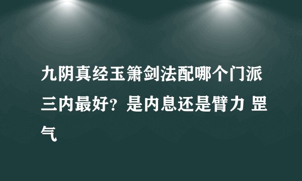 九阴真经玉箫剑法配哪个门派三内最好？是内息还是臂力 罡气