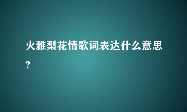 火雅梨花情歌词表达什么意思？
