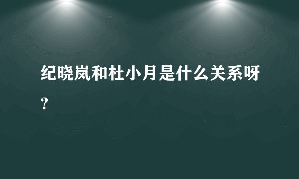 纪晓岚和杜小月是什么关系呀？