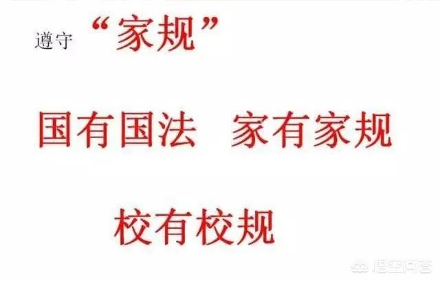 微信请假领导没回,女子旅游5天后归来被开除,你觉得谁对谁错?