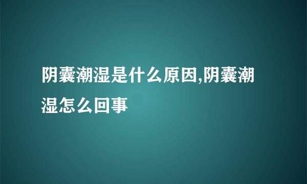 阴囊潮湿是什么原因,阴囊潮湿怎么回事