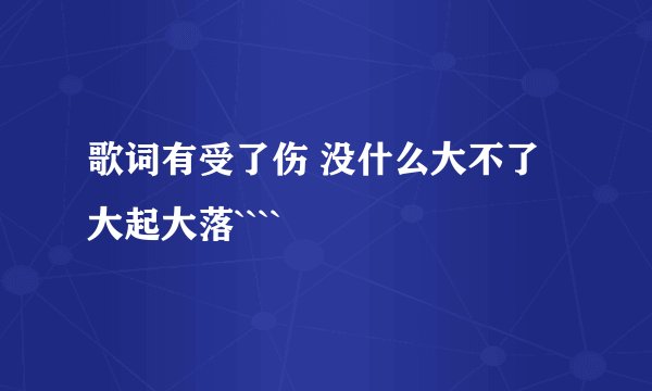 歌词有受了伤 没什么大不了 大起大落````