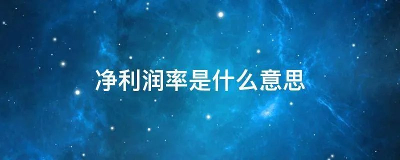 净利润率是什么意思