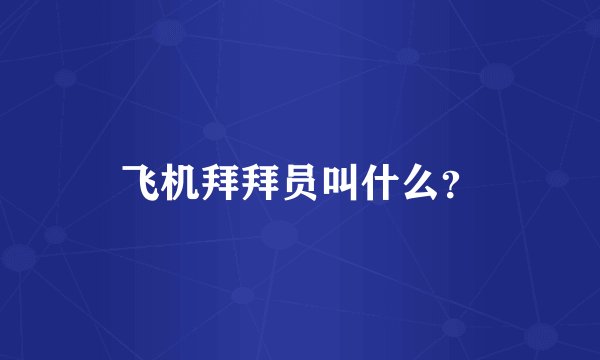 飞机拜拜员叫什么?