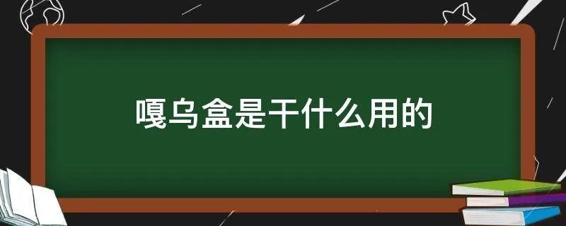 嘎乌盒是干什么用的