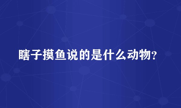 瞎子摸鱼说的是什么动物？