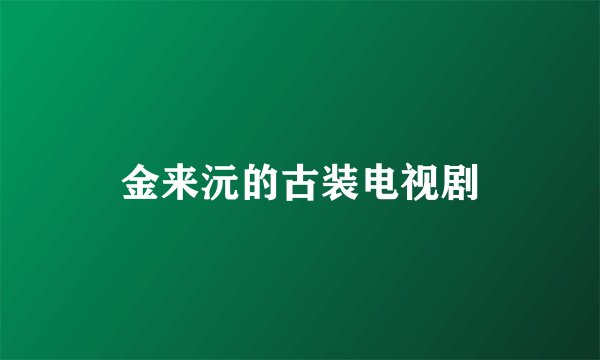 金来沅的古装电视剧