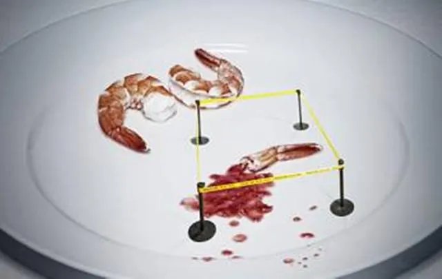 海中钓鱼用什么饵?