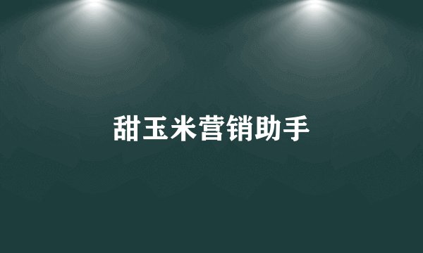 甜玉米营销助手