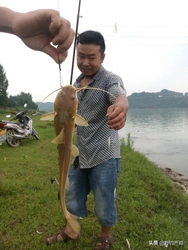 升钟湖钓鱼怎么收费? - 芝士回答