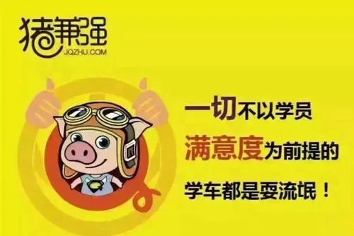 导致知名驾校猪兼强破产的原因是什么?