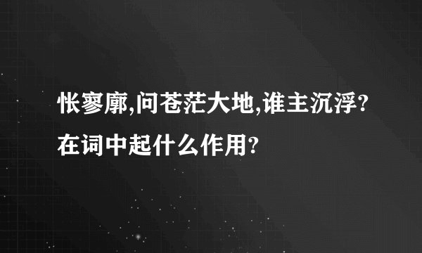 怅寥廓,问苍茫大地,谁主沉浮?在词中起什么作用?