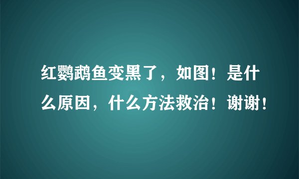 红鹦鹉鱼变黑了,如图!是什么原因,什么方法救治!谢谢!