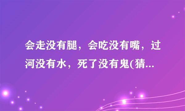 会走没有腿，会吃没有嘴，过河没有水，死了没有鬼(猜一日常用品)