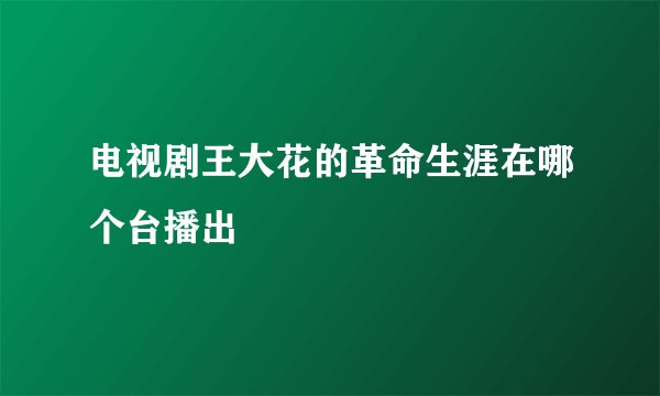 电视剧王大花的革命生涯在哪个台播出