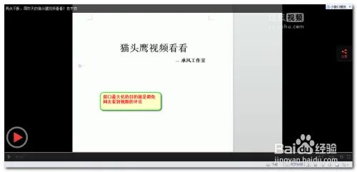 猫头鹰视频看看是真的吗【揭晓骗子】