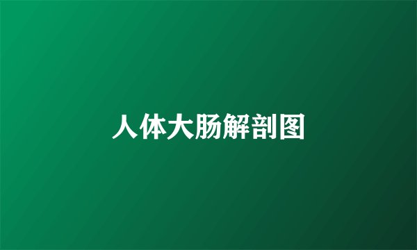 人体大肠解剖图