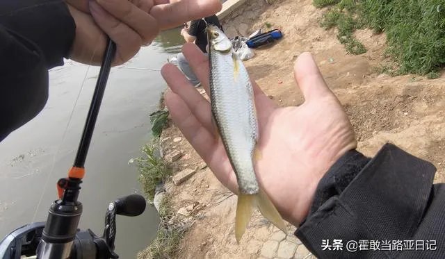 谁可以分享一下路亚钓鱼技巧?