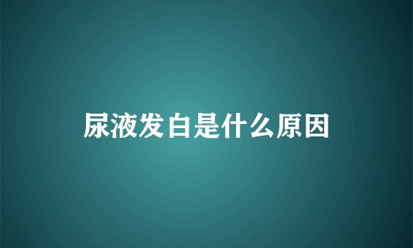 尿液发白是什么原因