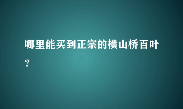 哪里能买到正宗的横山桥百叶？