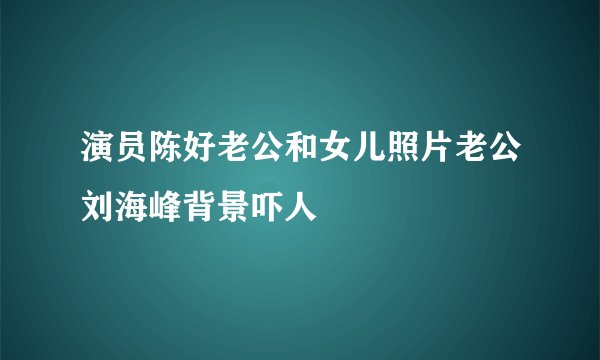 演员陈好老公和女儿照片老公刘海峰背景吓人